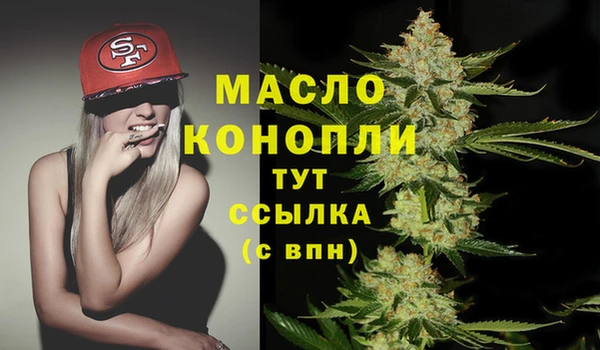 mix Богородицк